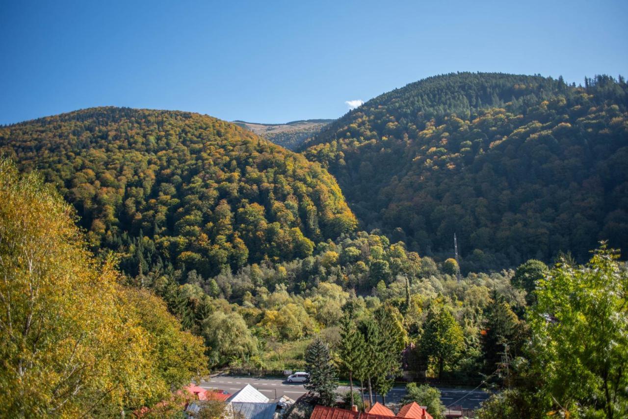 Blue Forest Studio Sinaia Exterior foto