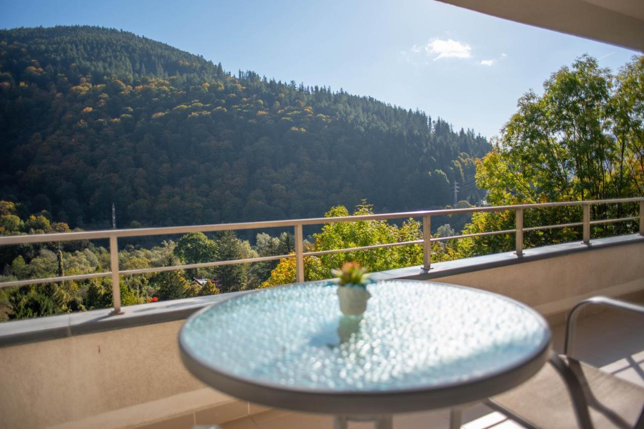 Blue Forest Studio Sinaia Exterior foto